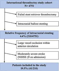 Maybe you would like to learn more about one of these? Frontiers Intracranial Stenting After Failed Thrombectomy In Patients With Moderately Severe Stroke A Multicenter Cohort Study Neurology