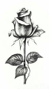 La Rosa Pencil Drawings Of Flowers Art Drawings Sketches Pencil Realistic Flower Drawing
