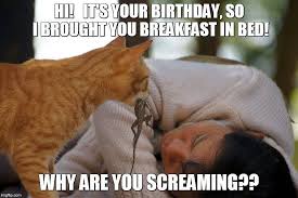 Best Happy Birthday Cat Meme 20 Best Funny Cat Birthday Meme Cat Birthday Funny Cat Birthday Cat Memes
