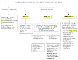 Image result for Group B Streptococcus Prophylaxis