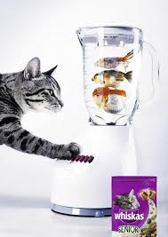 Campanha Anuncio Da Whiskas Racao Para Gatos Inspiracao Inspiration Whiskas Cat Food Pd Creative Advertising Pet Advertising Best Ads