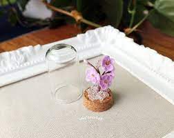 Miniature Cherry Blossom Glass Dome Fairy Flower Garden Etsy Cherry Blossom Flowers Dollhouse Decor Daffodil Flower