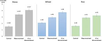 Micronutrients are another essential part of human nutrition and consist of vitamins and dietary minerals such as vitamin a, copper, iron, and iodine. Application Of Secondary Nutrients And Micronutrients Increases Crop Yields In Sub Saharan Africa Springerlink