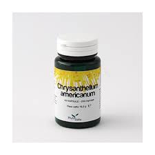 Image result for Chrysanthellum