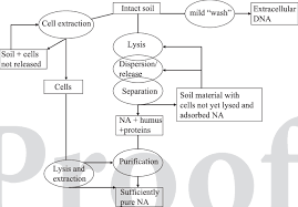 1 flow charts for direct extraction of nucleic acids na