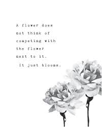 Self Love Quote Print A Flower Does Not Think Of Competing Etsy Flower Quotes Flower Quotes Inspirational Bloom Quotes