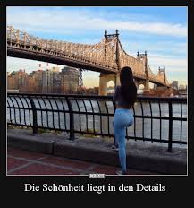 Die Schonheit Liegt In Den Details Lustige Bilder Spruche Witze Echt Lustig