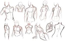 Aprender A Dibujar Torso Anime Y Manga 1 Aprender A Dibujar Anime Como Dibujar Animes Como Dibujar Anime Manga О dibujar anime paso a paso. aprender a dibujar torso anime y manga