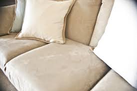 Silahkan pilih jenis sofa sesuai dengan sofa yang anda miliki. Bagaimana Untuk Menghilangkan Bau Kucing Kucing Di Sofa Idea Dan Tip