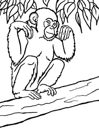An individual can also look at chimpanzee coloring pages image gallery that all of us get prepared to discover the image you are searching for. Picture Of Chimpanzee Coloring Page Coloring Sun