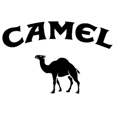 Super for age, great for year, 7 out of 10. Camel Logo Sticker