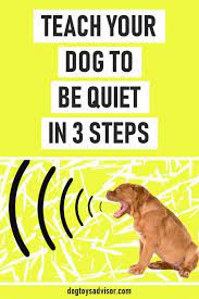 Again, the odd playful nibble isn't too much cause for concern, but it should still be discouraged if your dog seems to be taking things a little too far. If You Don T Know How To Train The Biting Routine Out Of Your Dog You Can Continue To Ask Tips From Your Dog Training Obedience Dog Training Training Your Dog