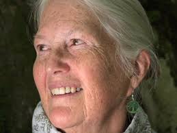 COVID-19 outbreaks at Upper Valley nursing homes take a toll