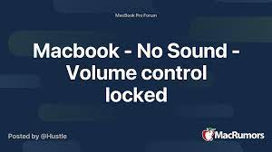 There should be item 'internal speakers (type: Macbook No Sound Volume Control Locked Macrumors Forums