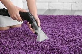 Check spelling or type a new query. Nettoyeur Vapeur Moquette Nettoyez Votre Moquette Grace A La Vapeur
