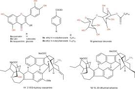 Image result for Tabernaemontana eglandulosa