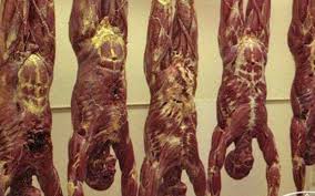 افتتاح أول مطعم اللحوم البشرية لن تصدقوا سعر الوجبة القناة