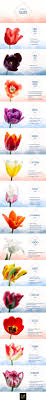 types of tulips a visual guide ftd com