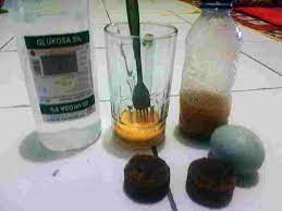 Kegunaan gula jawa yang paling utama adalah sebagai pemanis masakan. Racikan Pakan Kolibri Ninja Agar Cepat Gacor Bakicau