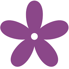 Small, bulbous plant, of the iris family. Deep Purple Colour Crossword Clue