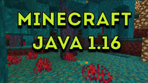 Skachat Minecraft Java 1 16 Na Pk Anti Malware Ru
