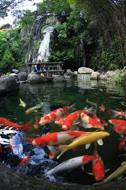 Sunway Amazing Pictures Amazing Travel Pictures With Maps For All Around The World Fish Pond Gardens Koi Fish Koi Fish Pond