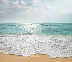 This would give you much more water than a solar still. Simple Salt Removal To Get Fresh Water News Chemistry World