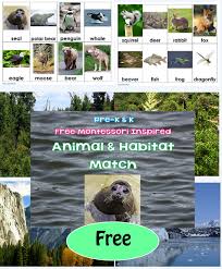 Animal And Habitat Match Free Printables 2 Versions Animal Habitats Animal Habitats Preschool Animal Habitats Kindergarten