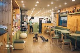 Welcome To The Amazing Cafe Where You Can Play With Dogs While Enjoying Your Morning Coffee Pet Cafe Dog Lounge Dog Houses