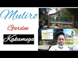 If you find that some photos violates copyright or have unacceptable properties, please inform us about it. Refurbished Muliro Garden Kakamega Kakamegacounty Youtube