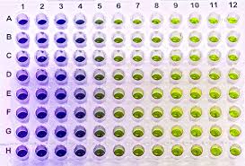 1,518,192 likes · 35,722 talking about this. Types Of Elisa Processes And Considerations Goldbio