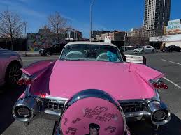 Image result for Pink 1958 Tappan