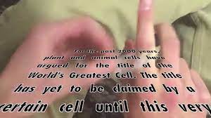 Maybe you would like to learn more about one of these? Animal Cell Vs Plant Cell Rap Battle Video Dailymotion