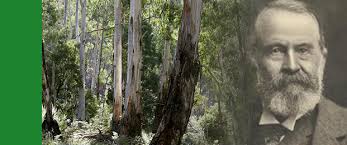 Rolf Boldrewood Literary Awards