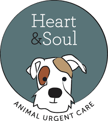 How much is urgent care for dogs. Emergency Veterinary Care In Ne Portland Or For Dogs Cats