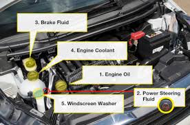 How do you identify car parts? Under The Bonnet Basics For New Drivers Howards Group