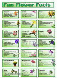 Fun Flower Facts Cards Flower Games Flower Cards Senior Living Activities