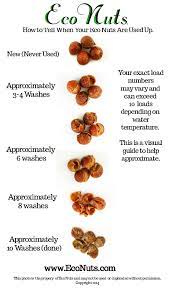 How To Tell When Your Soap Nuts Are Used Up Soap Nuts Cleaning Recipes Natural Cleaning Products