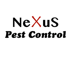 Termites are the most destructive pests you'll never see. Nexus Pest Control Llc Home Facebook