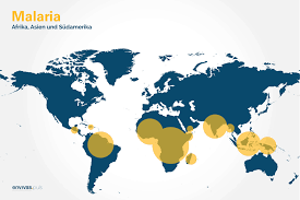 Die gefährliche malaria tropica (plasmodium falciparum) stellt etwa zwei drittel aller fälle dar, mit einer durchschnittlichen inkubationszeit von 7 bis 20 tagen. Malaria Und Ihre Verbreitung Ein Stich Der Todlich Enden Kann