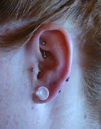Transverse Lobe With A Surface Bar I Did Not Pierce Her Rook Or Tragus Earings Piercings Cute Piercings Ear Piercings