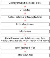 Image result for Stroke Pathophysiology