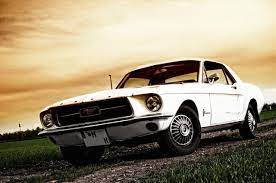 1967 Ford Mustang Wallpaper Wallpaper Free Muscle Cars Mustang Ford Mustang Mustang