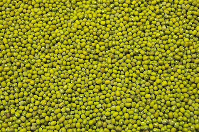 Green Mung Bean