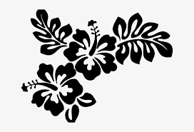 Hawaiian Flower Vector Hibiscus Clip Art Transparent Png 640x480 Free Download On Nicepng Download this one for free and then see what others catch your fancy! hawaiian flower vector hibiscus clip