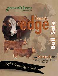 February 13 soderglen select bull sale at the ranch, airdrie, ab. Anchor D Ranch Genetic Edge 20th Anniversary Bull Sale By Bohrson Marketing Services Ltd Issuu