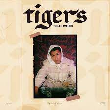 Het heeft er alle schijn van dat deze mensen de situatie van wahib vergelijken met die van lil' kleine. Tigers Remix Ft Lil Kleine Lyrics Bilal Wahib Songtekst Errday