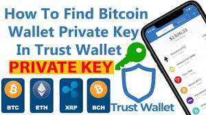 One such way is to use the pywallet bitcoin wallet importer/exporter python script that has been available for ages and that works great for giving you all your public and private keys from a wallet.dat file. Pin On Bitcoin