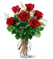 The common name serviceberry refers to memorial services held in the spring at the same time as the flowers bloom. Send Flowers To Lexington Ky With Ashland Florist Your Online Flower Shop In Lexington Kentucky Ky