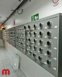 Edda Torres Escárate